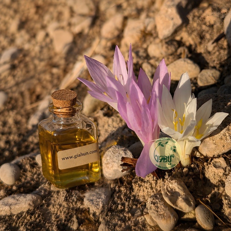 روغن سورنجان