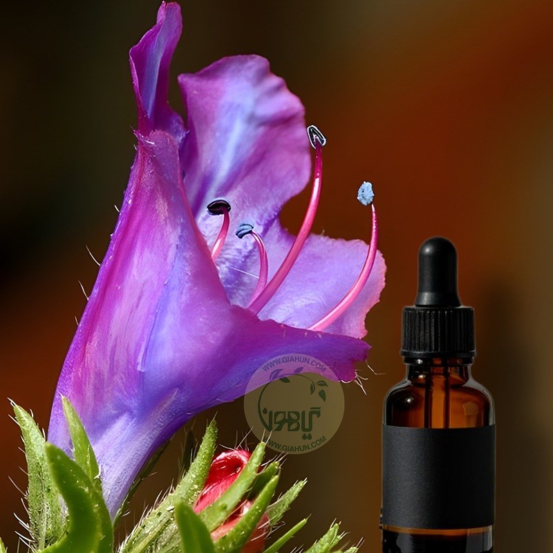 روغن گل گاوزبان
