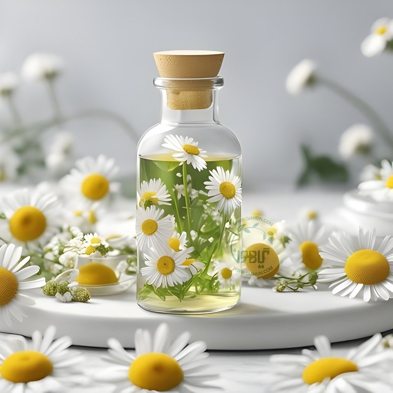 روغن عاقرقرحا