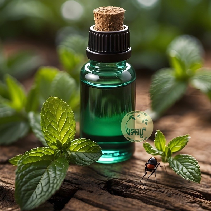 روغن نعنا