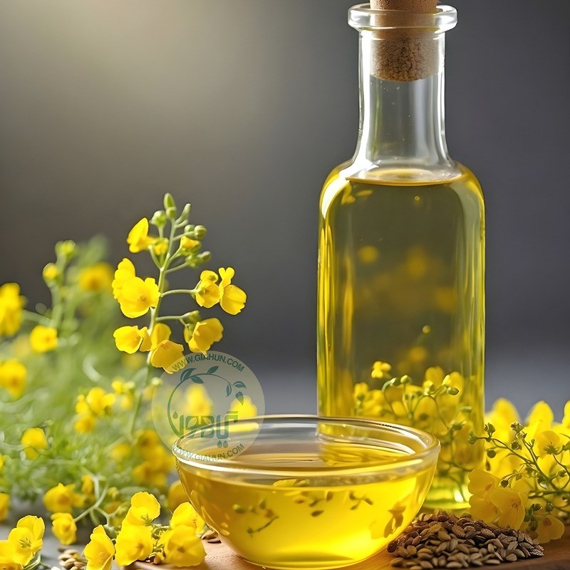 روغن کانولا