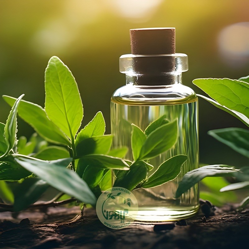 روغن پونه