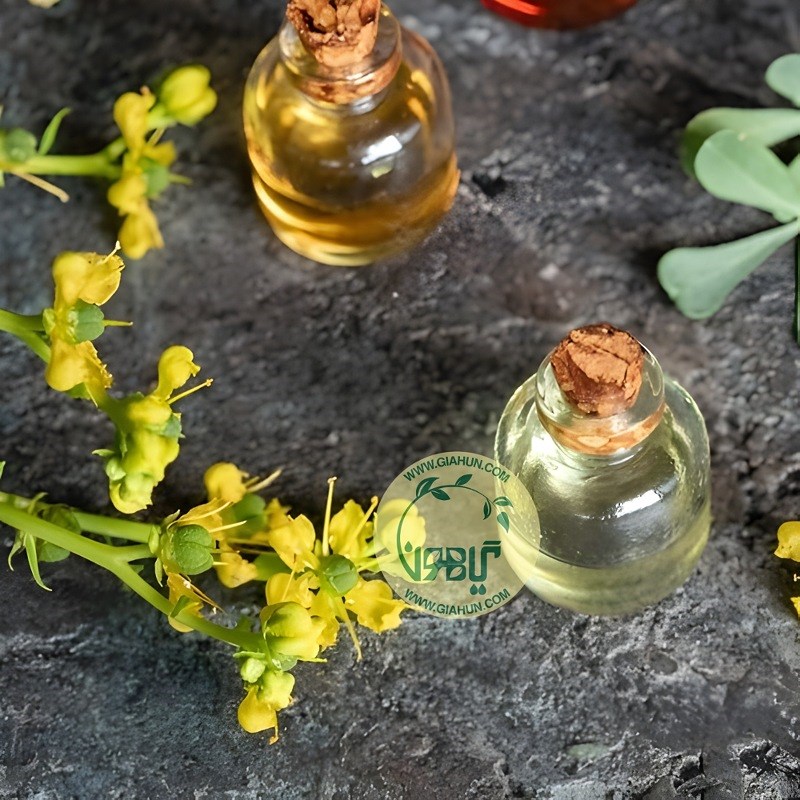 روغن سداب