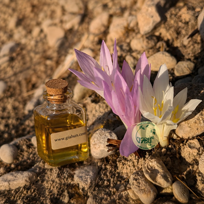 روغن سورنجان