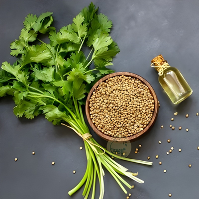 روغن گشنیز