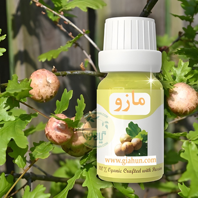 روغن مازو