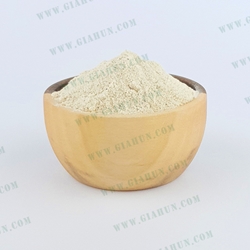 چاشنی قارچ و خامه