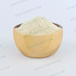 چاشنی قارچ و خامه