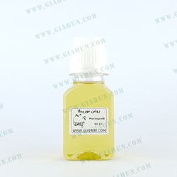 روغن مورینگا
