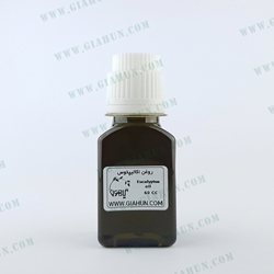 روغن اکالیپتوس