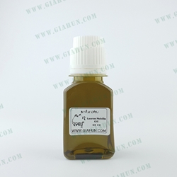 روغن برگ بو