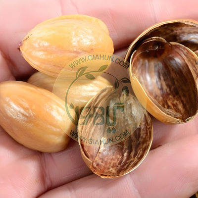 روغن پوست بلوط