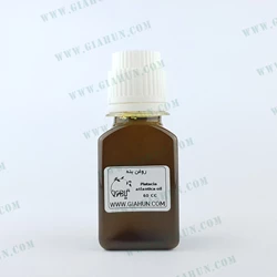 روغن بنه